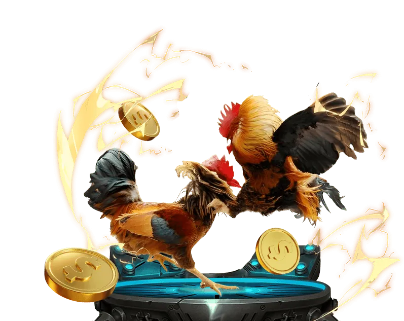 Chương trình VIP Typhu88